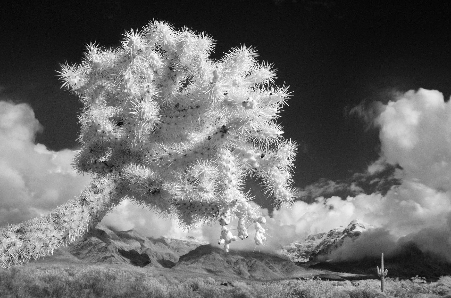 SouthWest 1 — James Higgins Photography